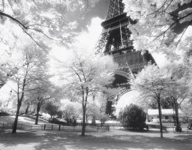 Main image of Afternoon in Paris Poster Print (14 x 11)