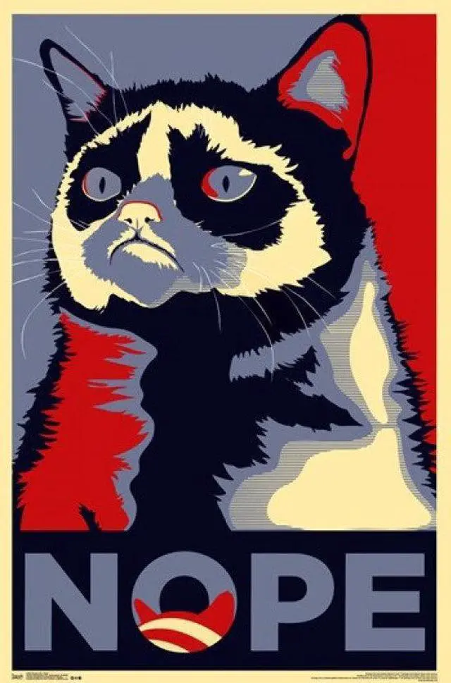 Main image of Grumpy Cat - Nope Poster Print (24 x 36)