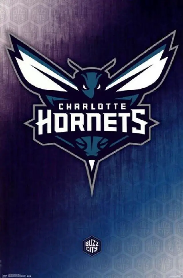 Main image of Charlotte Hornets - Logo 2014 Poster Print (22 x 34)