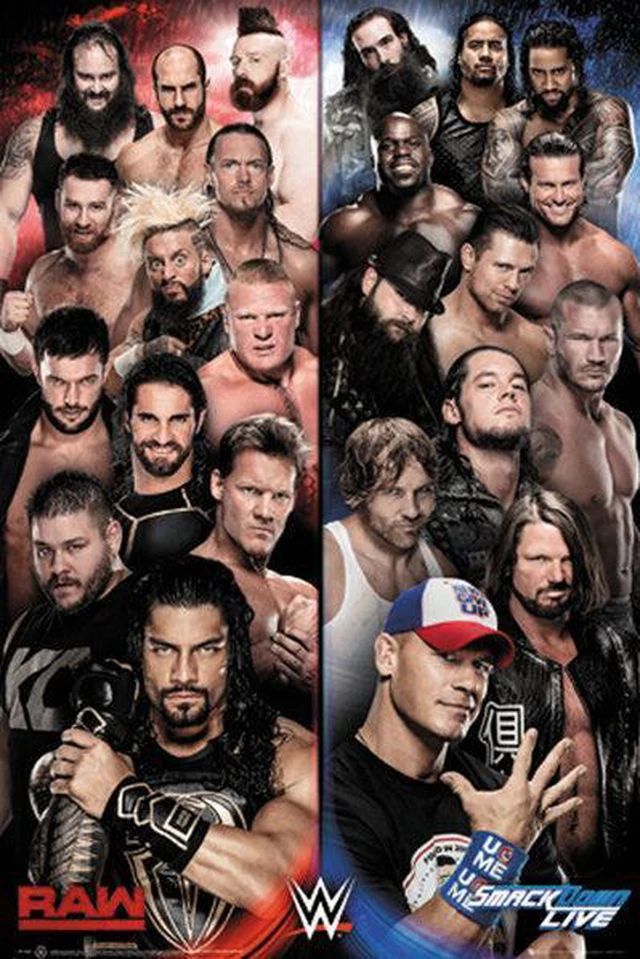 Main image of Wwe Raw V Smackdown Poster Print (22 x 34)