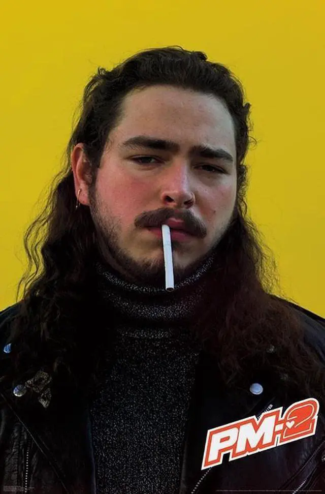 Main image of Post Malone - Smoke Poster Print (22 x 34)