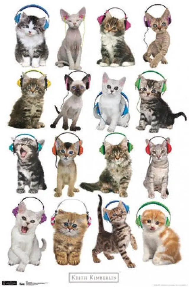 Main image of Kitten - Headphones Poster Print (24 x 36)