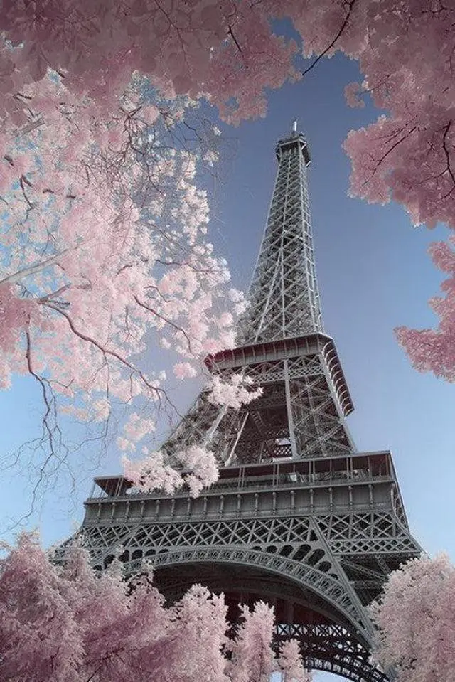 Main image of Eiffel Tower Infrared - Paris Poster Print (24 x 36)