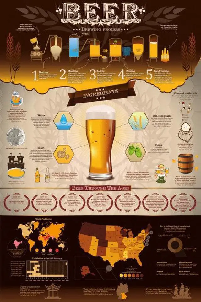 Main image of Beer Brewing Process Poster Print (22 x 34)