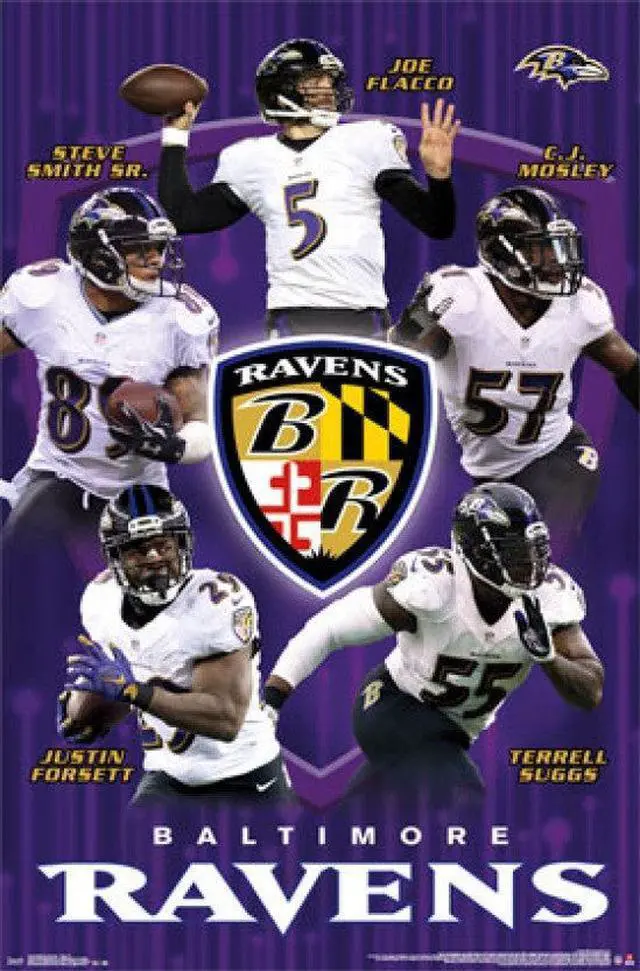 Main image of Baltimore Ravens - Team 2015 Poster Print (22 x 34)