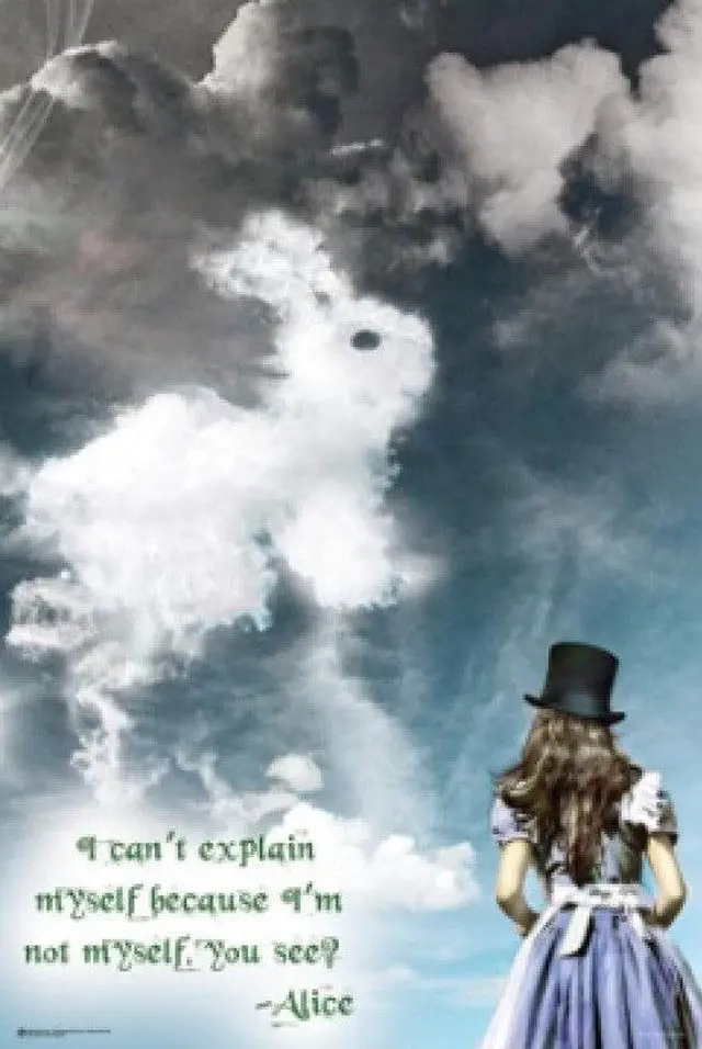 Main image of Alice In Wonderland Illusions Poster Print (22 x 34) - Item # SCO8970