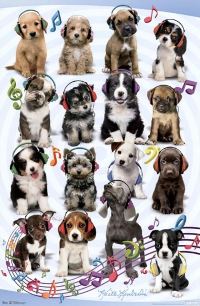 Alt view image 2 of 4 - Puppy Listening to Music Poster Print