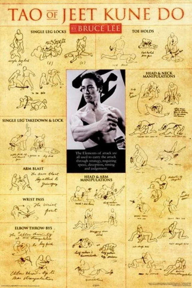 Main image of Bruce Lee Tao of Jeet Kune Do Poster - 24x36