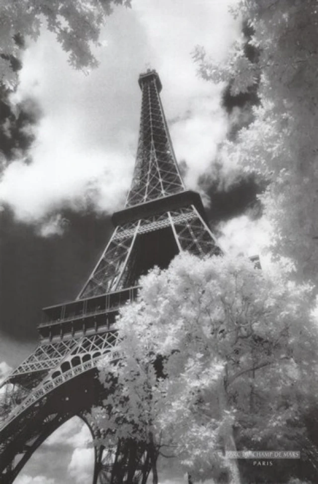 Alt view image 2 of 4 - Parc du Champ de Mars Poster - Paris Scenic View