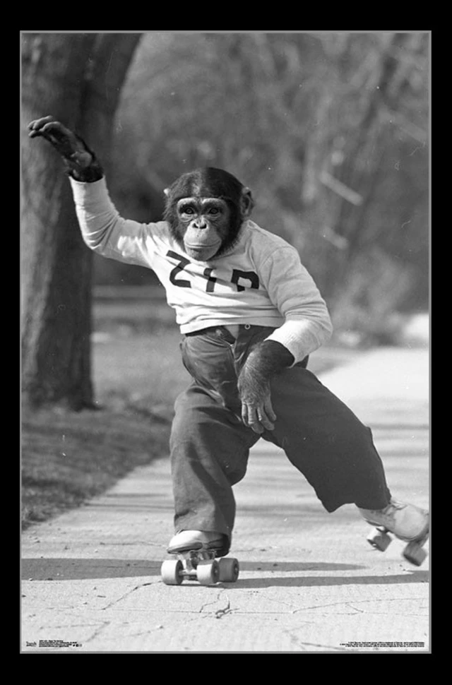 Alt view image 2 of 4 - Life - Zippy The Monkey Poster Print (22x34)