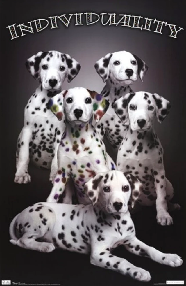 Alt view image 2 of 4 - Puppy Individuality Poster Print - Perfect for Pet Lovers