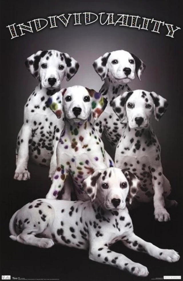 Main image of Puppy Individuality Poster Print - Perfect for Pet Lovers