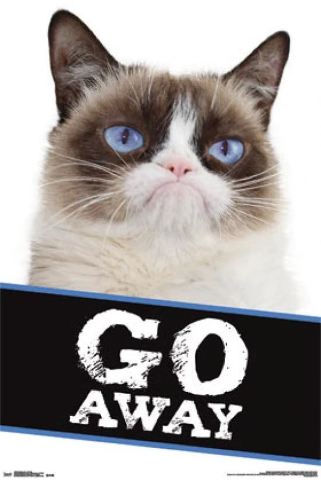 Main image of Grumpy Cat - Go Away Poster Print