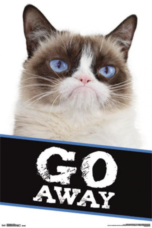 Alt view image 2 of 4 - Grumpy Cat - Go Away Poster Print
