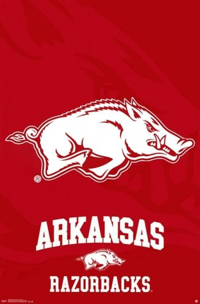 Main image of University of Arkansas Logo Poster Print - 24x36