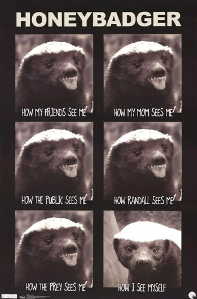 Main image of Honey Badger - See Me Poster Print (24 x 36)