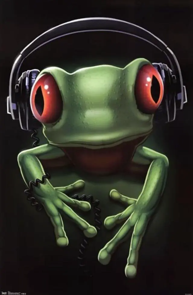 Main image of Frog Rock Poster Print (24 x 36)