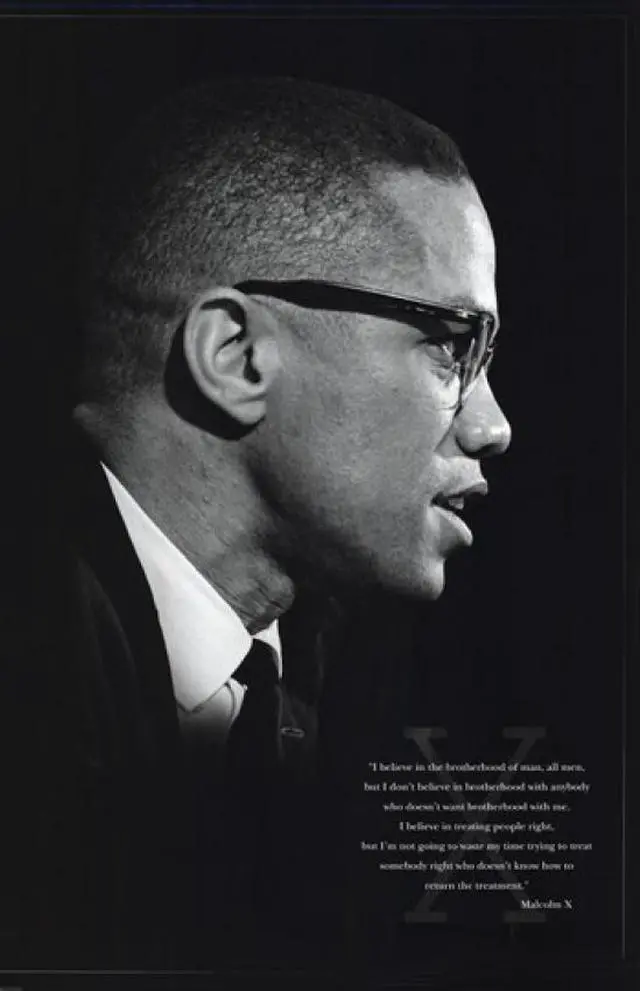 Main image of Malcolm X (Brotherhood) Poster Print (24 x 36)