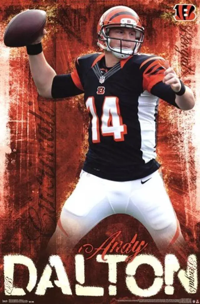 Main image of Cincinnati Bengals - Andy Dalton 2013 Poster Print (22 x 34)