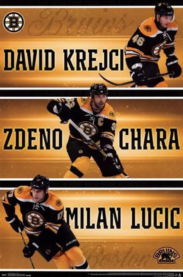 Main image of Boston Bruins - Team 2013 Poster Print (24 x 36)
