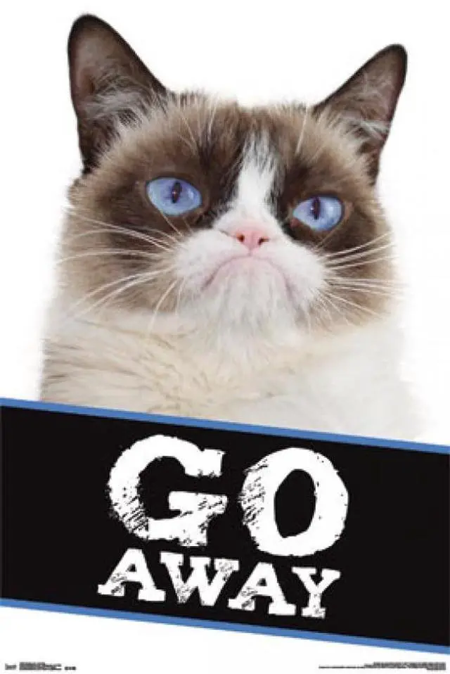 Main image of Grumpy Cat - Go Away Poster Print (22 x 34)