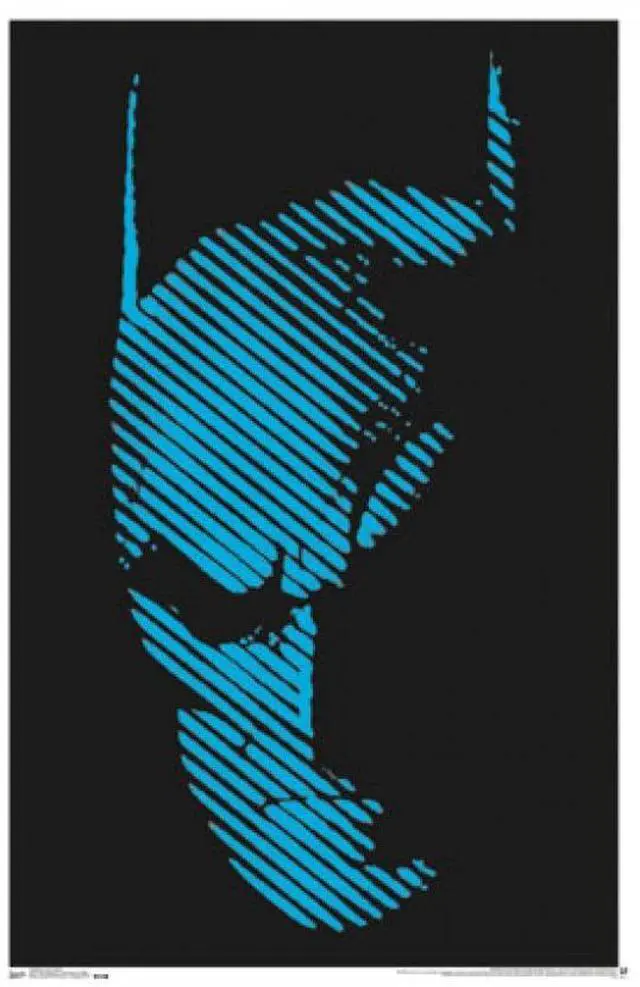 Main image of Black Light - Batman Poster ( x )