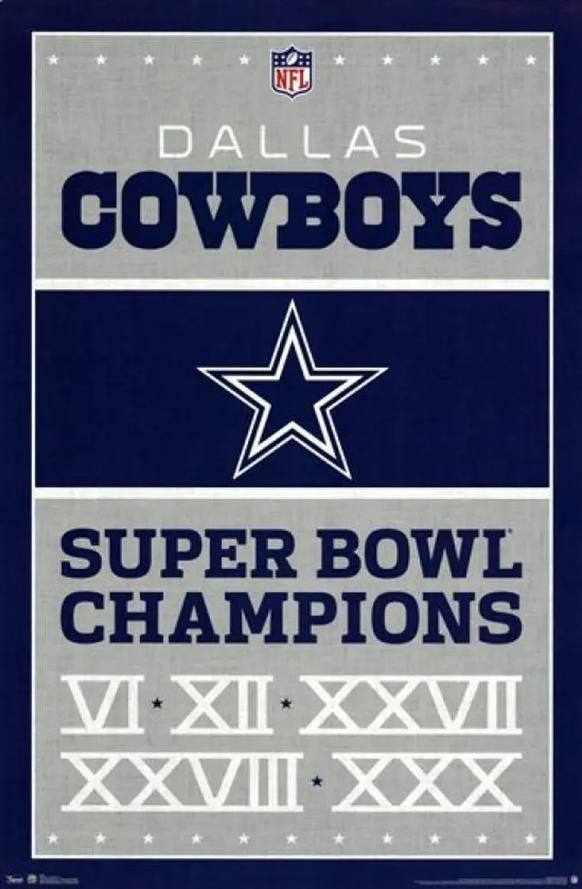 Main image of Dallas Cowboys - Champions 2013 Poster Print (22 x 34)