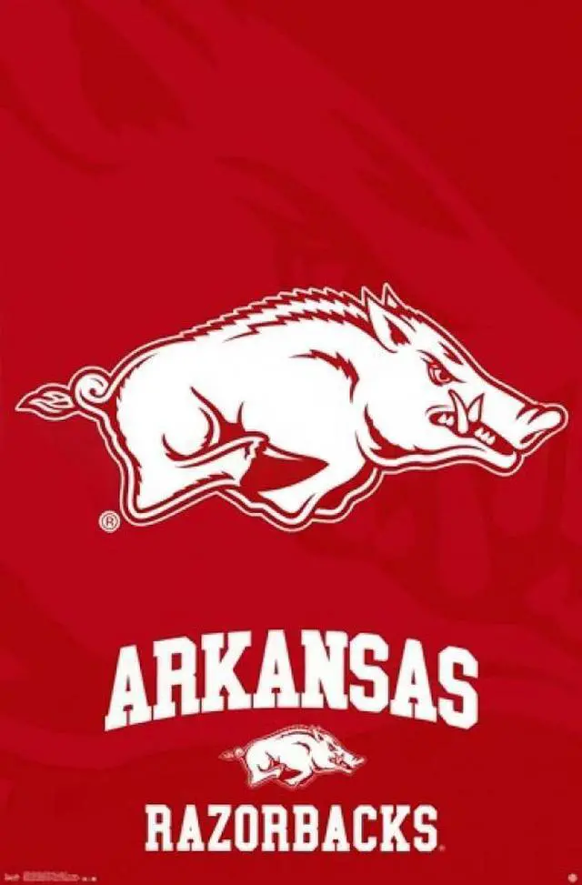 Main image of University of Arkansas - Logo 14 Poster Print (24 x 36)