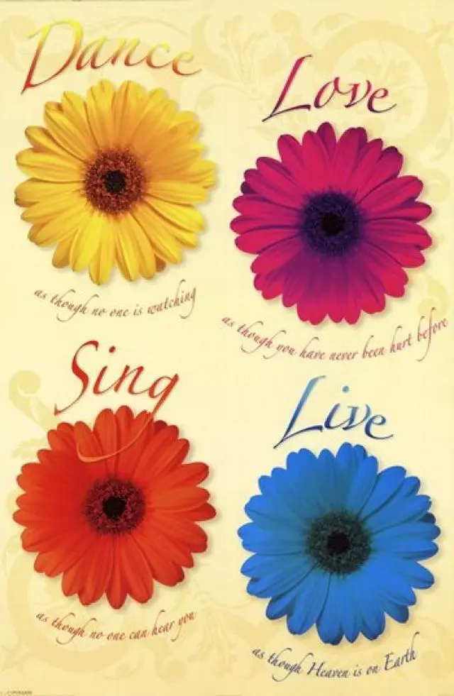 Main image of Daisies - Dance Love Sing Live Poster Print (22 x 34)