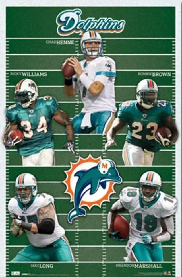 Main image of Miami Dolphins - Team 2010 Poster Print (24 x 36)
