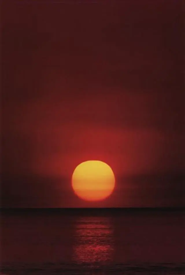 Main image of Sunset Poster (24 x 36)