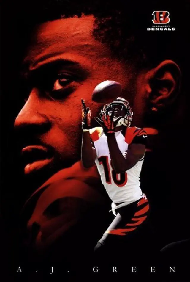Main image of Cincinnati Bengals - A.J. Green 2013 Poster Print (22 x 34)