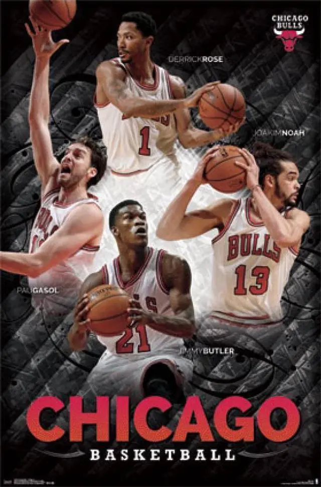 Main image of Chicago Bulls - Collage 2014 Poster Print (24 x 36)