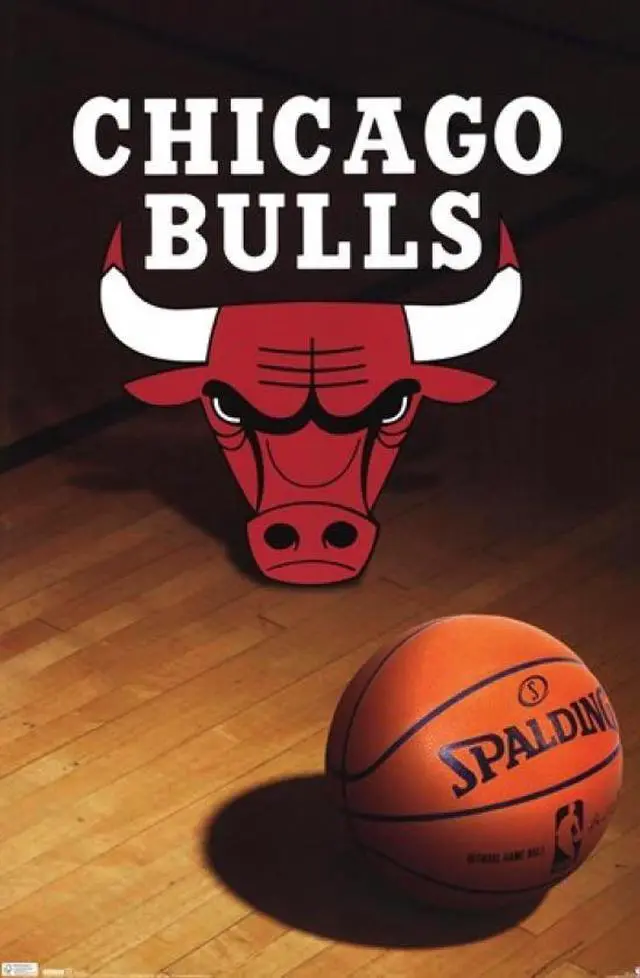 Main image of Chicago Bulls - Logo 2010 Poster Print (24 x 36)