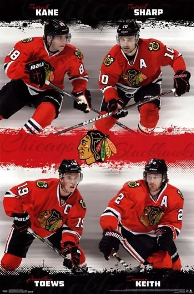 Main image of Chicago Blackhawks - Team 2013 Poster Print (22 x 34)