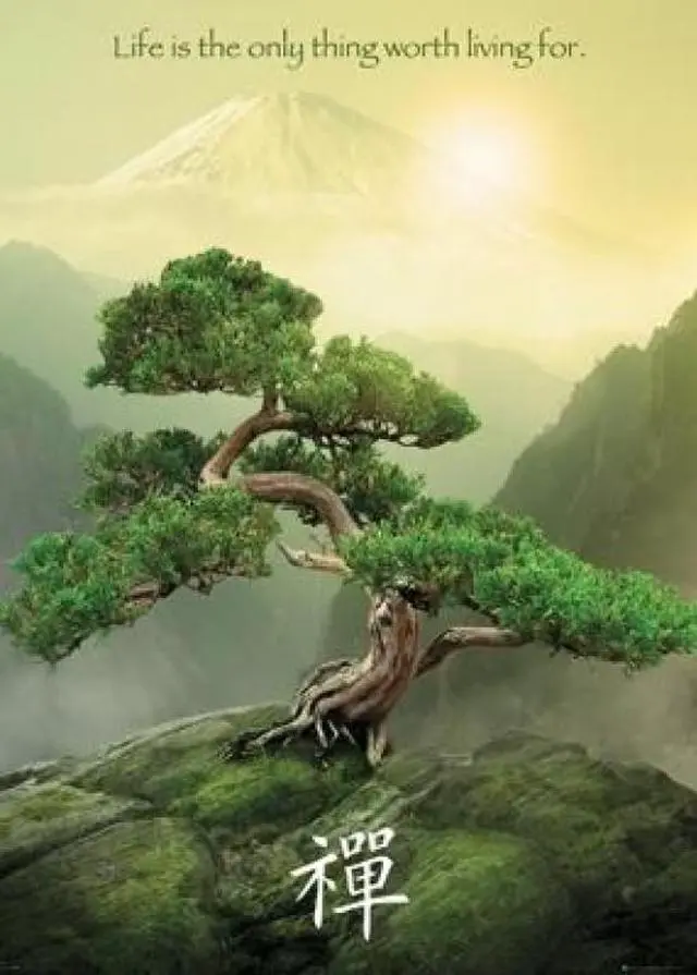Main image of Zen Mountain - Giant Poster Print (39 X 55)