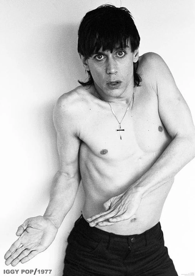 Main image of Iggy Pop Studio Studio Pose Poster (24 x 36)