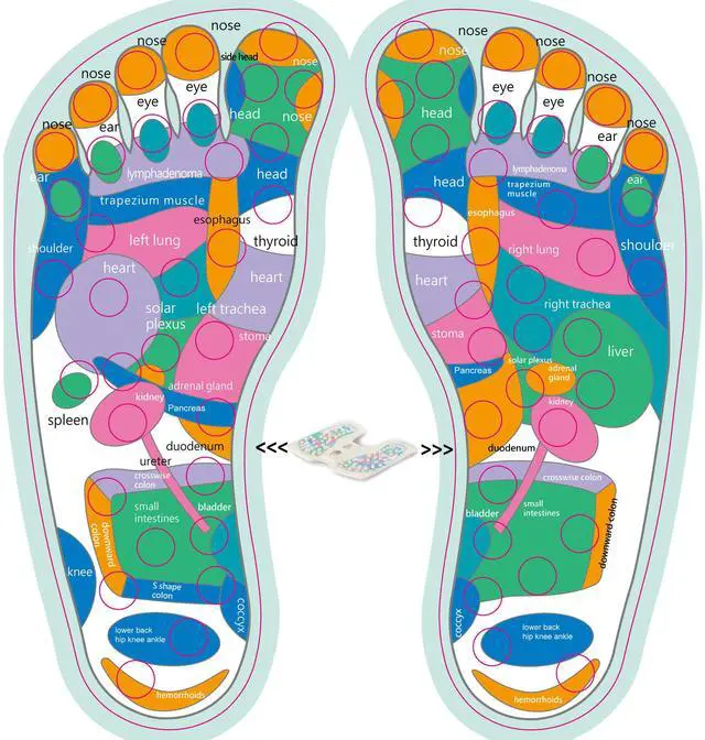 Alt view image 5 of 5 - Carepeutic KH512A Acupuncture Points Slant Incline Calf Stretch Board