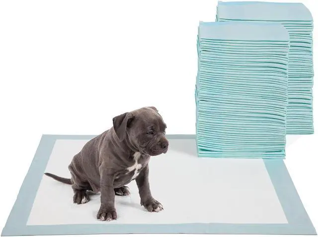 Main image of Four Paws DELUXE Wee Wee Pads for Standard and Little Dogs, 36 Count