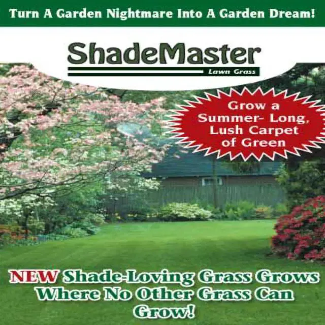 Alt view image 2 of 5 - Shade Master Lawn Grass Seed, 1 lb.