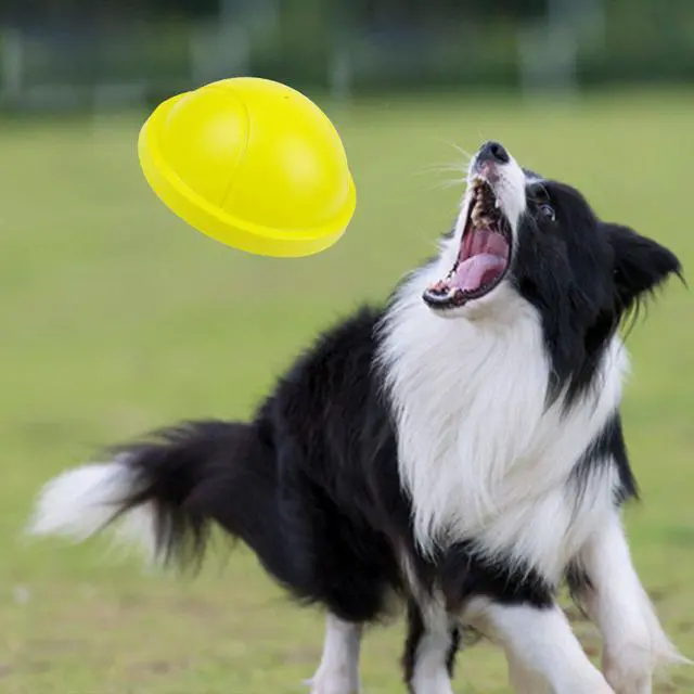 Alt view image 2 of 5 - K9 Slider With Squeaker Pet Toy