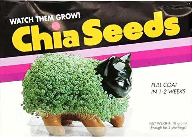 Alt view image 4 of 5 - Chia Pet Seeds (Pack Of 3)