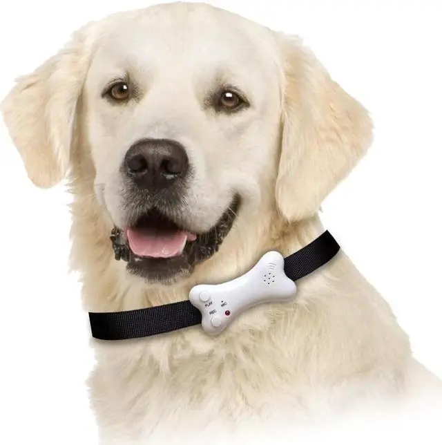Main image of Buster's Bone Voice Recording Pet I.D.