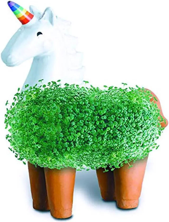 Alt view image 3 of 7 - Chia Pet Planter - Unicorn