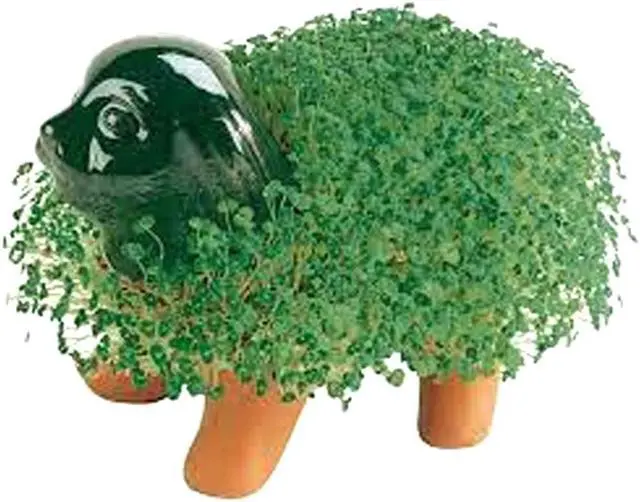 Alt view image 2 of 6 - Chia Pet Planter - Puppy