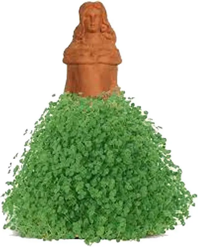 Alt view image 2 of 5 - Chia Pet Planter - Princess