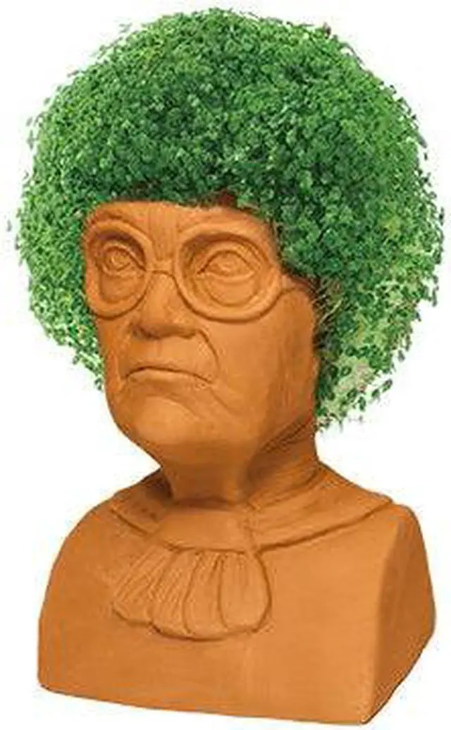 Alt view image 6 of 9 - Golden Girls Chia Pet Sophia Decorative Pottery Planter