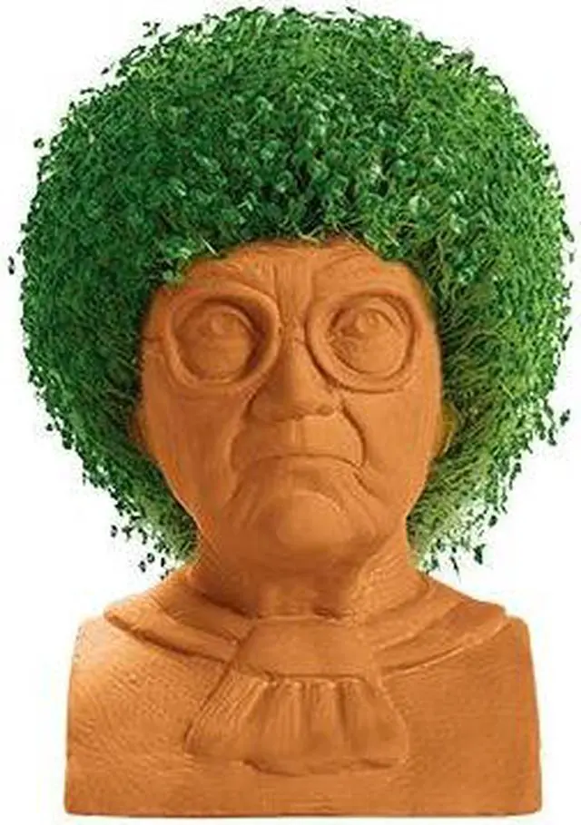 Alt view image 8 of 9 - Golden Girls Chia Pet Sophia Decorative Pottery Planter