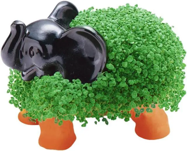 Alt view image 2 of 4 - Chia Pet Planter - Elephant