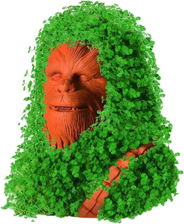 Alt view image 8 of 8 - Star Wars Chewbacca Chia Pet Decorative Planter